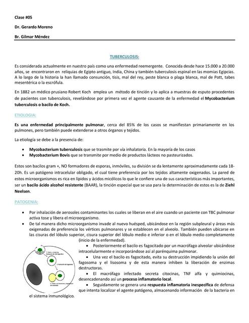 Clase 5 Tuberculosis AP