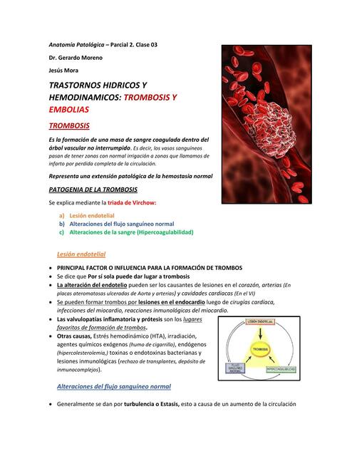 Clase 03 Transtornos hidricos y hemodinamicos Embo