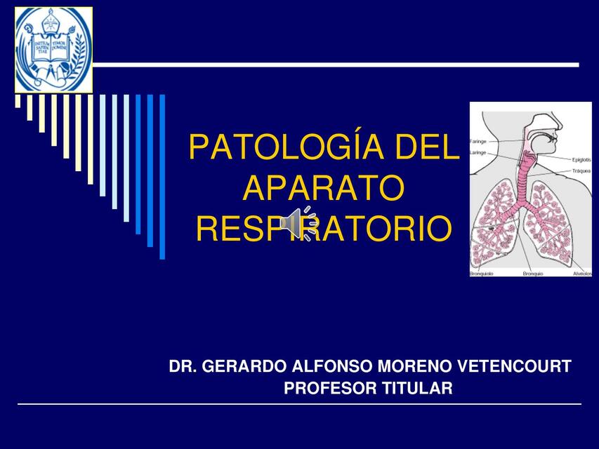 Clase 9 RESPIRATORIO 1