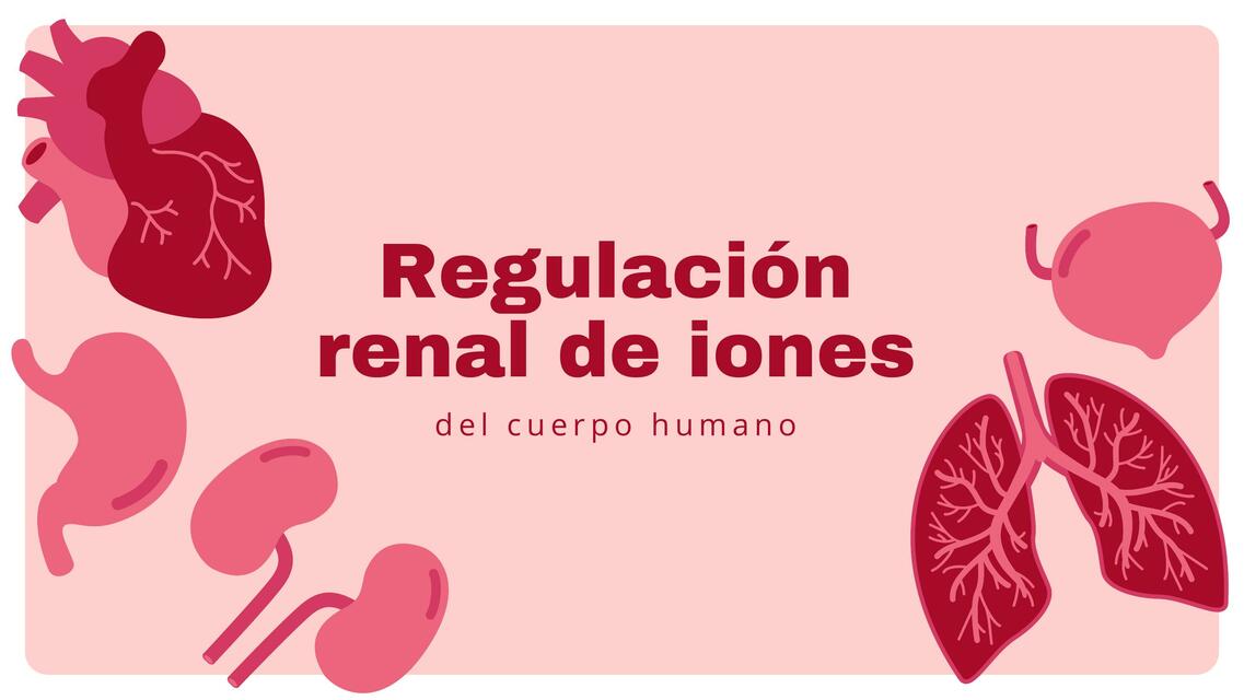 Regulación renal de iones