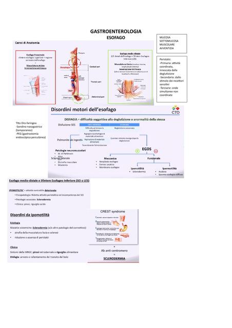 Gastroenterologia 