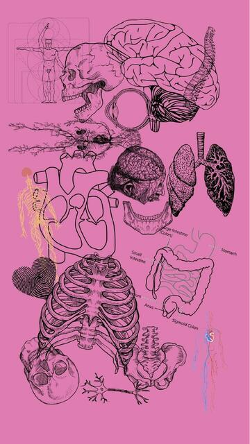 Semiología Gastrointestinal