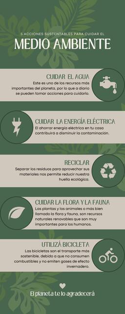 Infografía Cuidado del Medio Ambiente Orgánico Ver