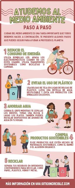 Infografía Medio Ambiente Moderno Ilustrativo Rosa