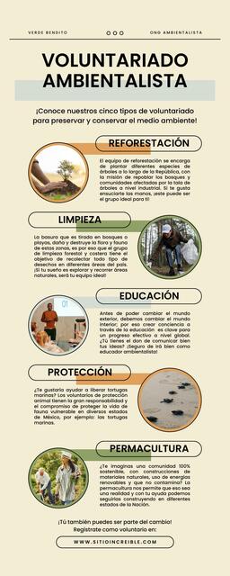 Infografía de Voluntariado Ambientalista Profesion