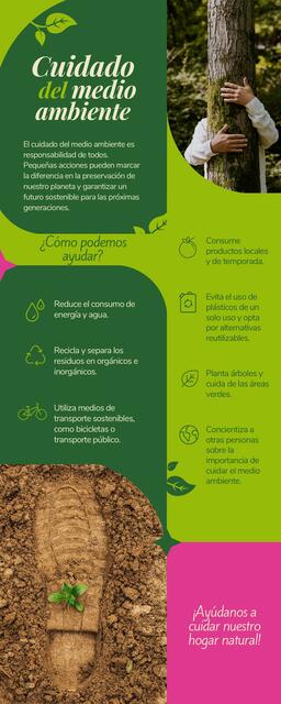 Infografía Cuidado del Medio Ambiente Profesional