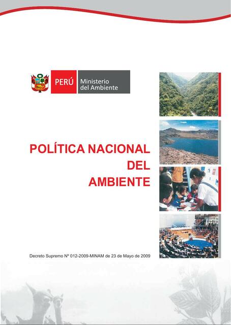 Política Nacional del Ambiente