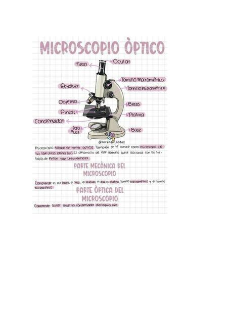 microscopio óptico