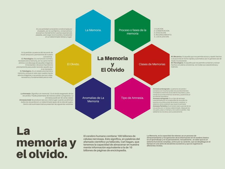 La memoria y el olvidó