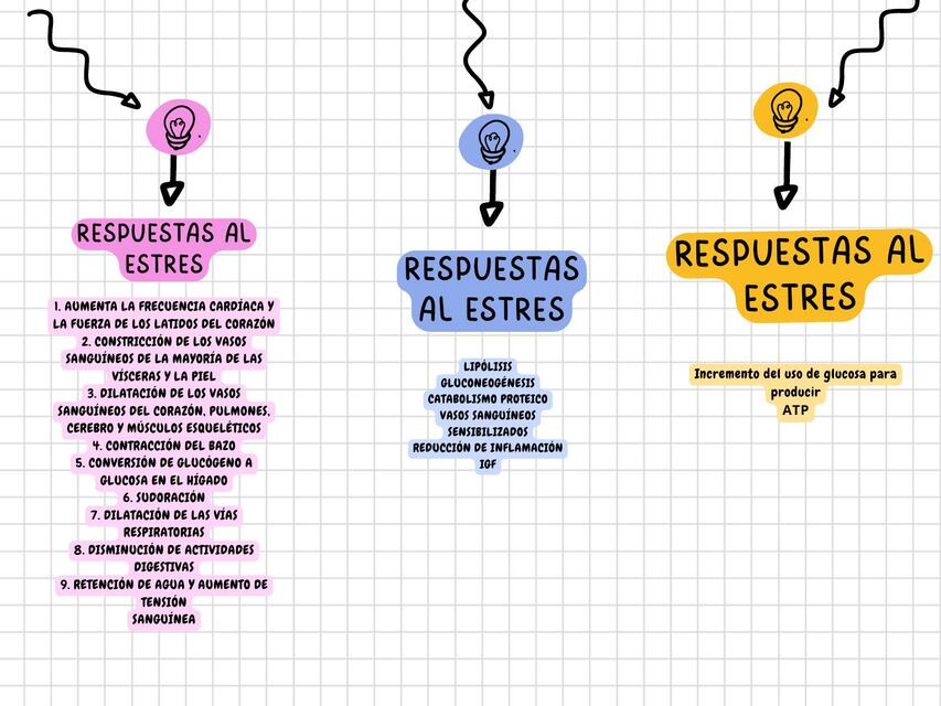 Gráfico Cuadro comparativo Empresarial Acuarela Li