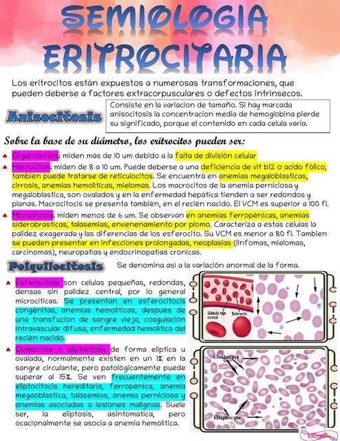 SEMIOLOGIA ERITROCITARIA