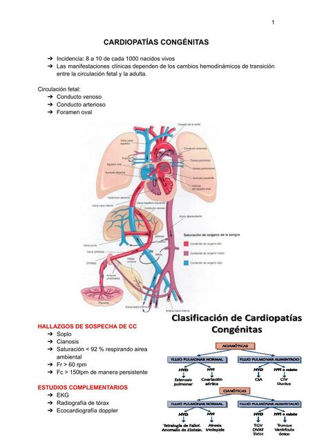 CARDIOPATÍAS CONGÉNITAS