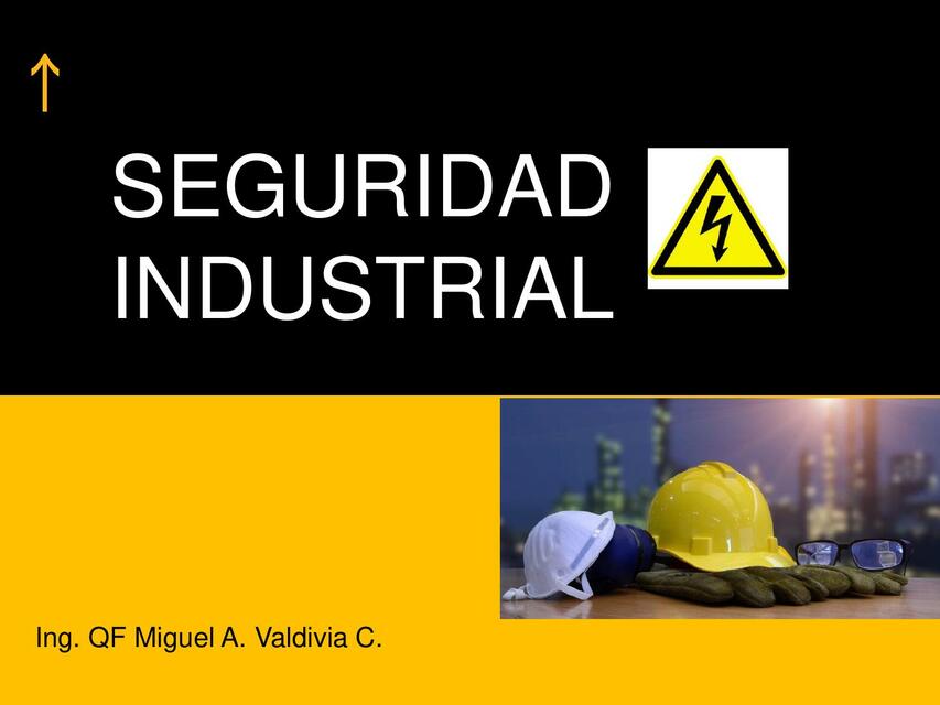 CLASE 10 Seguridad industrial