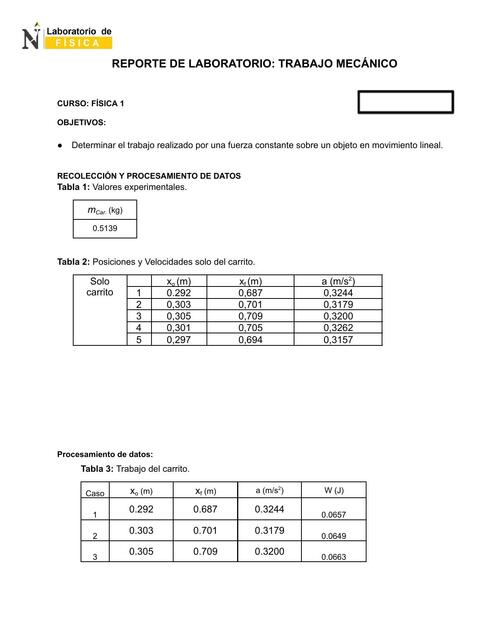 REPORTE LAB FISI1 TRABAJO MECÁNICO docx