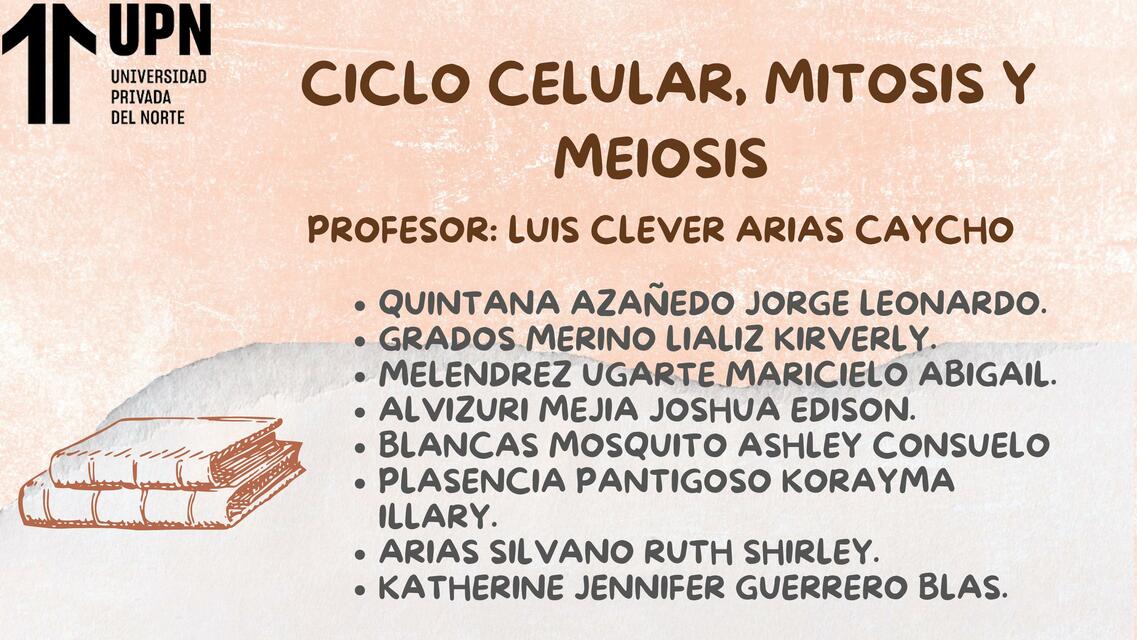 Ciclo celular, mitosis y meiosis 