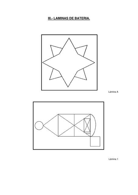 LAMINASNEUROPSI