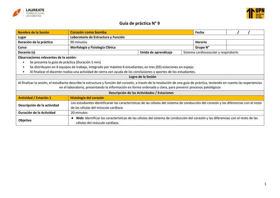 Semana 9 Guía práctica