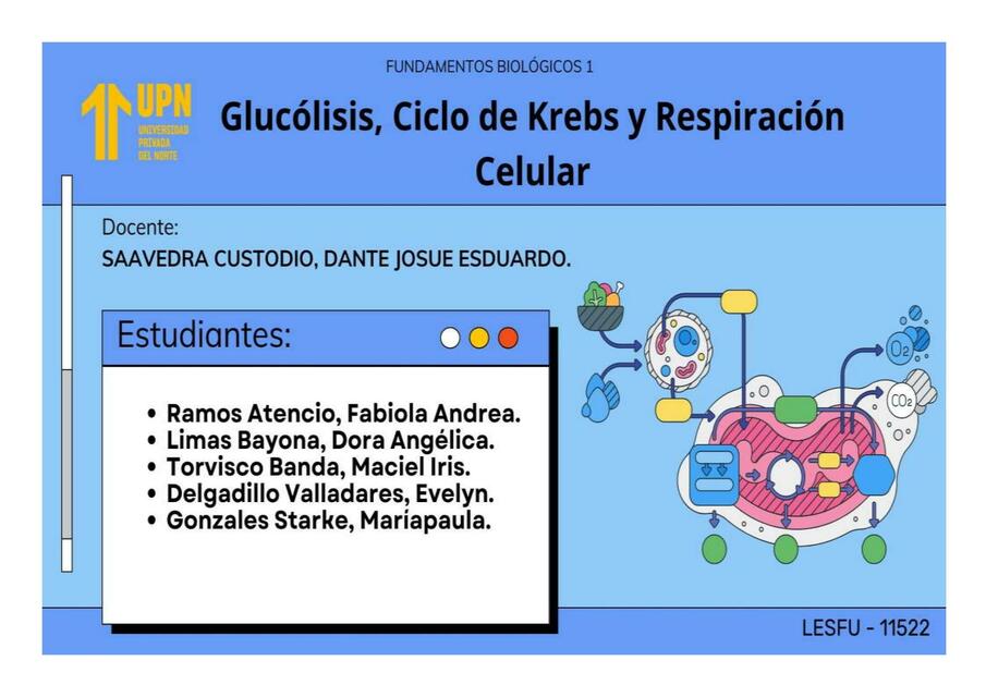 FB1 Práctica de Laboratorio N10 LESFU