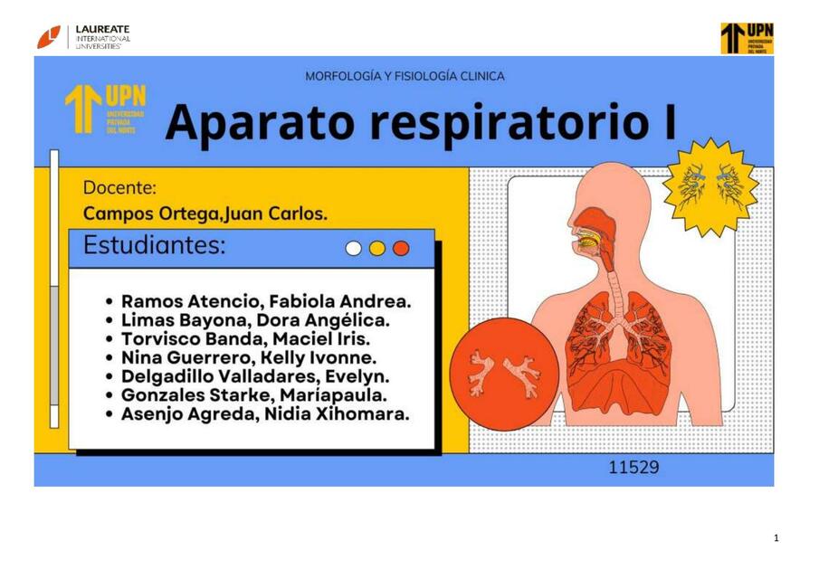 Semana 10 Guía práctica