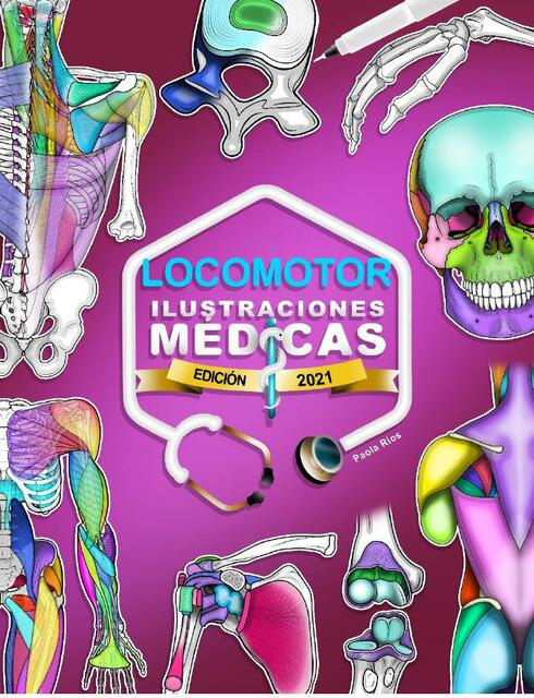 LOCOMOTOR ILUSTRADO