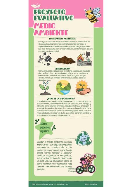 Proyecto de medio ambiente e