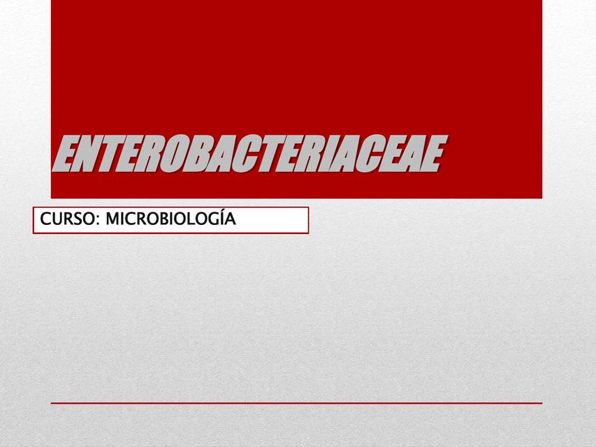 ENTEROBACTERIACEAE diapositivas