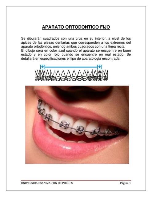 REGLAS DEL ODONTOGRAMA SALUD PREVENTIVA