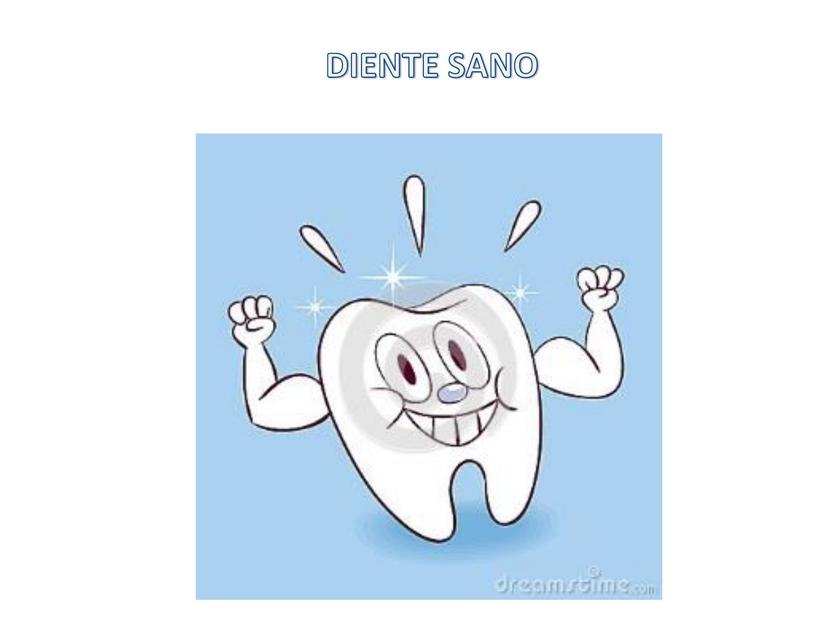 ROTAFOLIO SALUD PREVENTIVA DENTAL