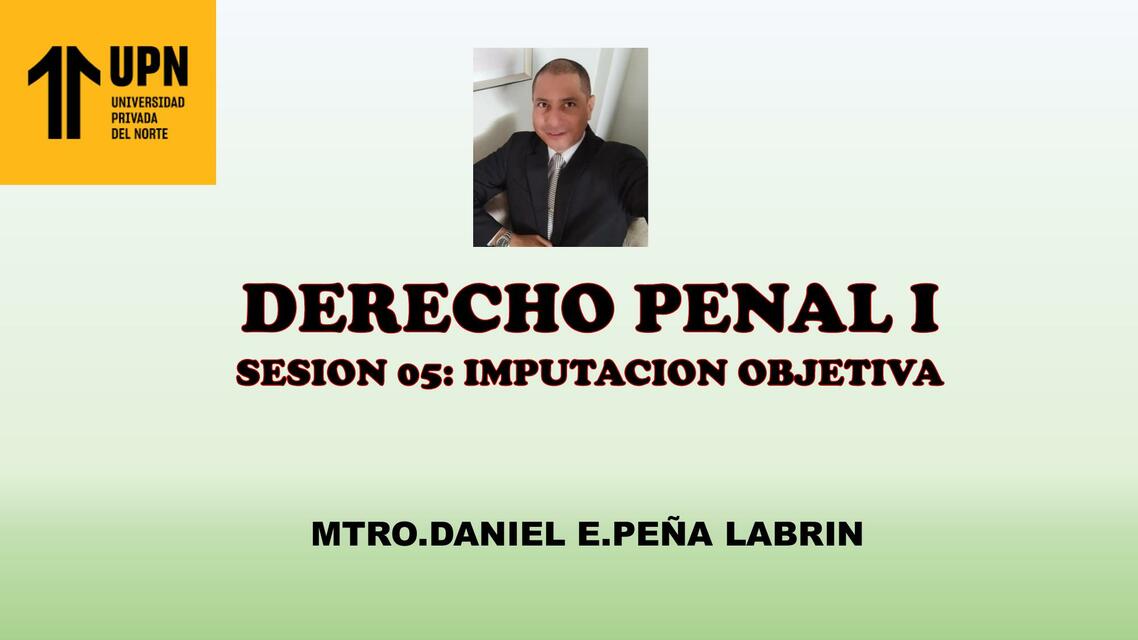 Sesion 05 penal i upn i heidy udocz