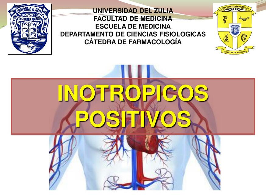 Inotrópicos Positivos