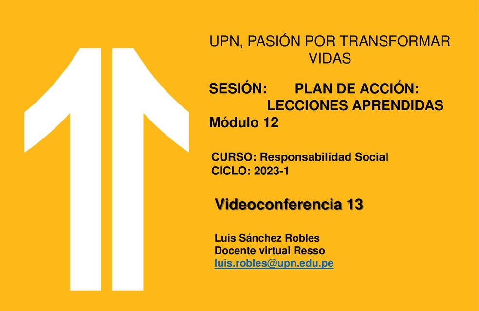 UPN Videoconferencia 13 RESSO