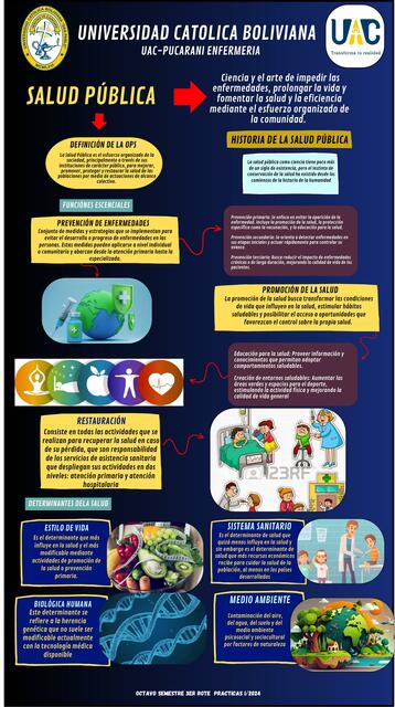 Infografia salud publica