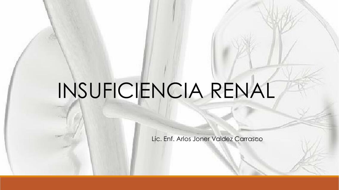 INSUFICIENCIA RENAL