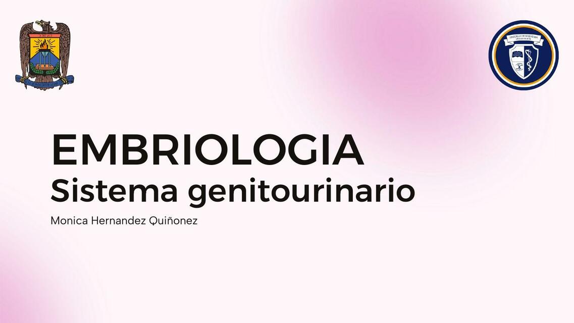 Embriologia sistema genitourinario