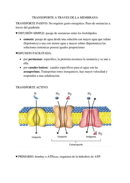 ORGANELAS Y M P KS MOD 1