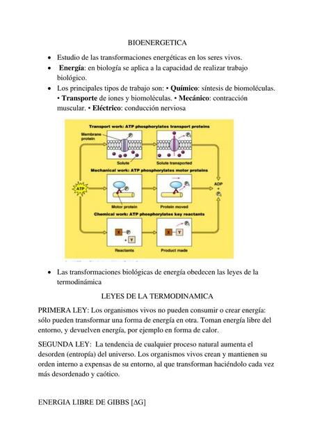 BIOENERGETICA MOD 1