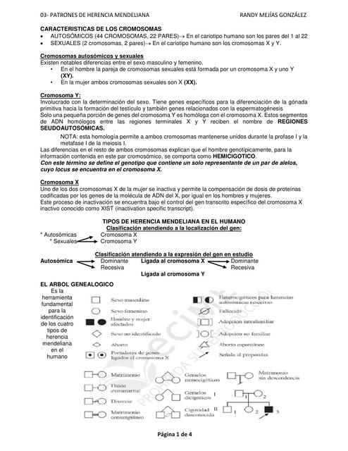 03 Patrones De Herencia Mendeliana Grabiel Udocz