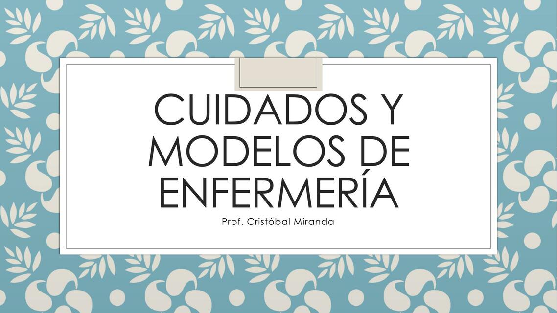 Cuidados y modelos de enfermería clase 2