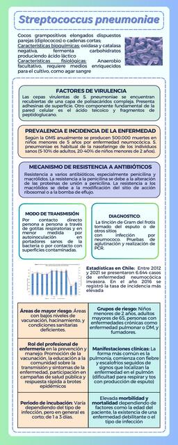 Infografía Streptococcus pneumoniae