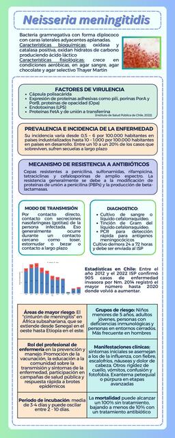 Infografía Neisseria meningitidis