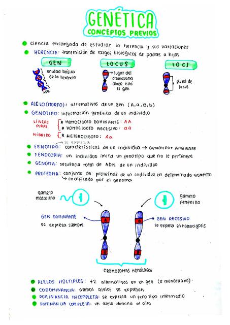 BIOLOGÍA genética | uDocz