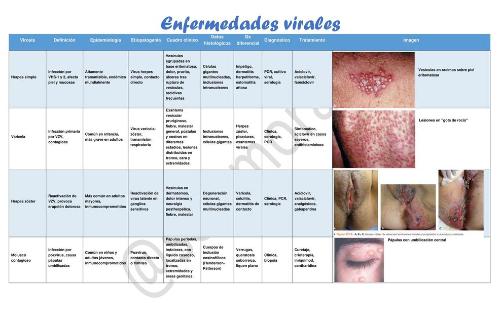 Afecciones dermatologicas de enfermedades virales