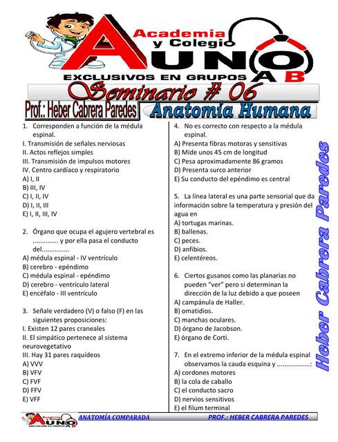 Seminario Auno 06