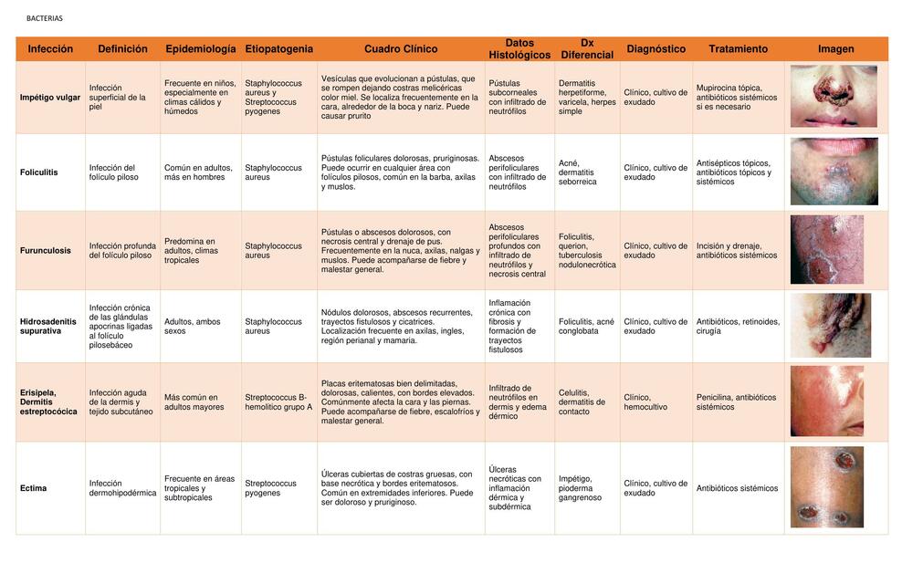 Afecciones dermatologicas por bacterias