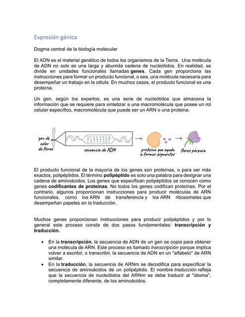 Expresión génica