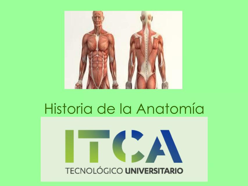 Anatomia historia