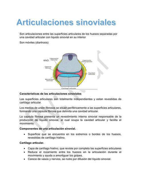 Articulaciones sinoviales