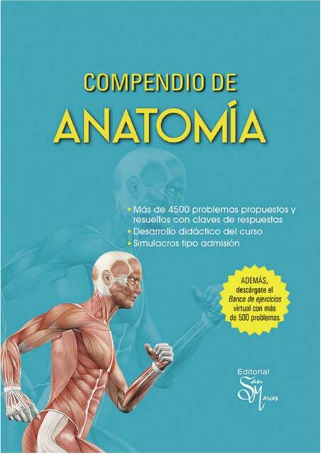 Anatomia