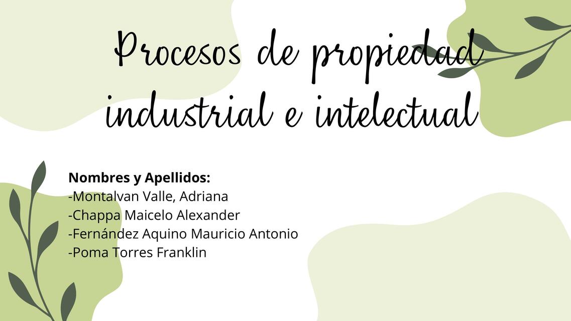 Procesos de Propiedad Industrial e Intelectual