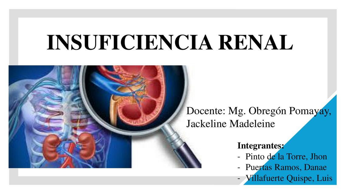 INSUFICIENCIA RENAL